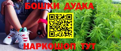 гашик Славгород