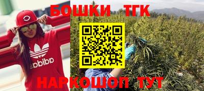 гашик Славгород