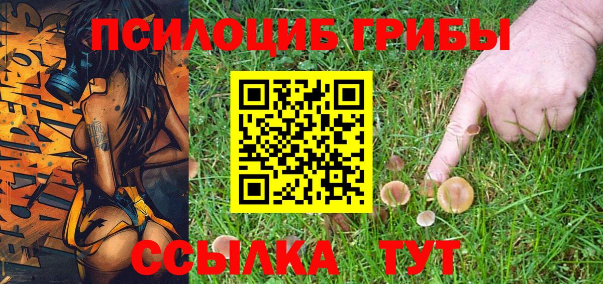 Галлюциногенные грибы Psilocybine cubensis Петрозаводск