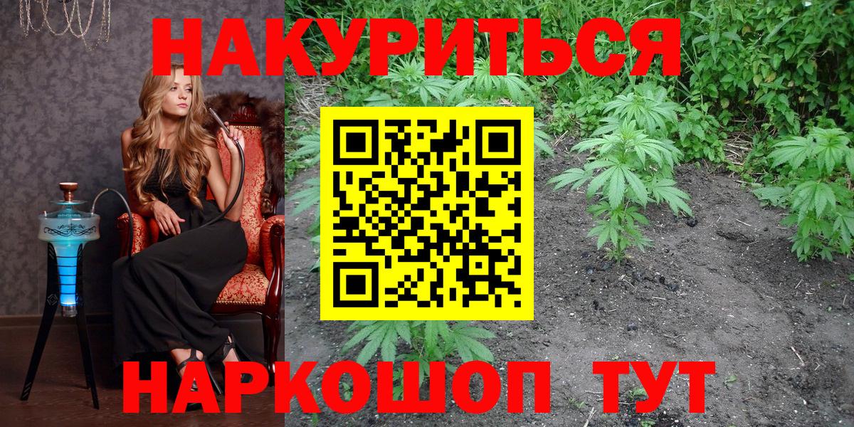 Марихуана конопля  Бошки марихуана White Widow  Петрозаводск  Вход с VPN  Бошки Шишки план  Каннабис индика 